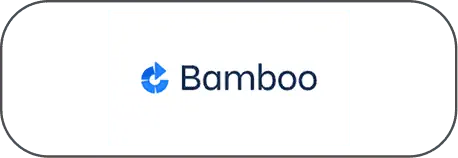 Bamboo